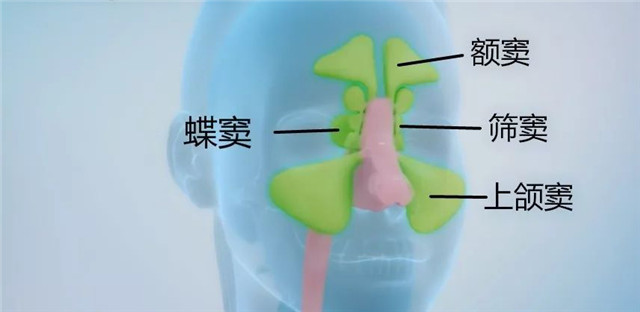 过敏性鼻炎怎么办