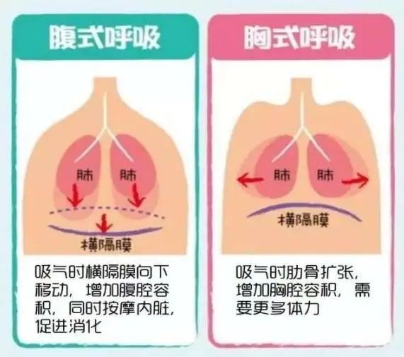 产后妈妈为何要做腹式呼吸运动?
