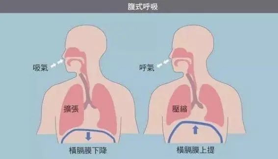 产后妈妈为何要做腹式呼吸运动?