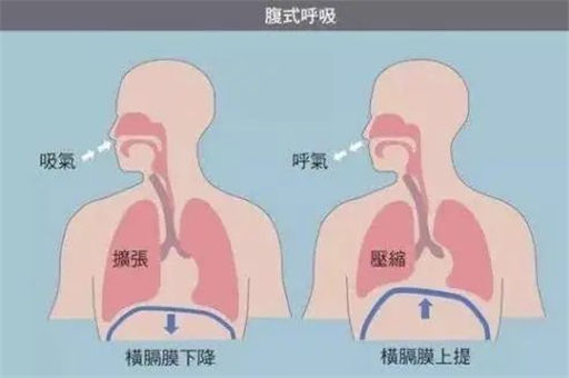产后妈妈要学会的一种呼吸方式：腹式呼吸法