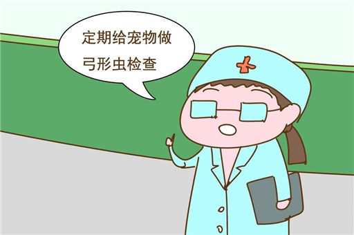 怀孕了能不能养宠物