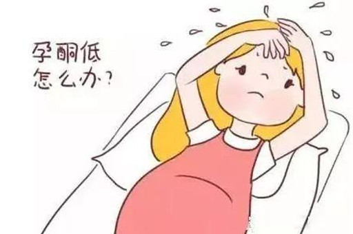孕酮低怎么办？孕酮低饮食怎么调理？