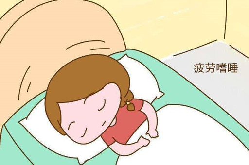 怀孕早期有什么反应