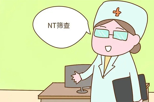 NT检查,NT检查时间,NT检查的作用为什么做NT检查,NT检查筛查什么